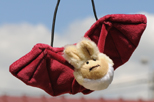 peluche chauve-souris en vente