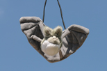 peluche chauve-souris en vente